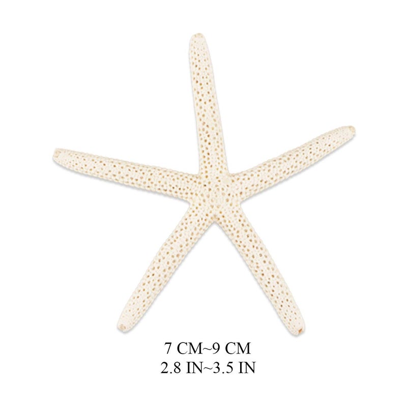 Jangostor 20 PCS Starfish, 2.5" to 4" Natural Seashells Starfish Star Fish Shells Decorations White Starfish Ornaments Perfect for Wedding Beach Theme Party Home Decorations, DIY Crafts, Fish Tank - Image 4